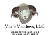 Mesta Meadows logo 