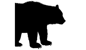Black Bear Cider Co. logo 