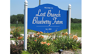 Lost Branch Blueberry Farm logo 