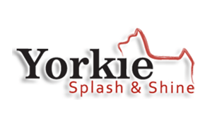 Yorkie Splash & Shine logo 