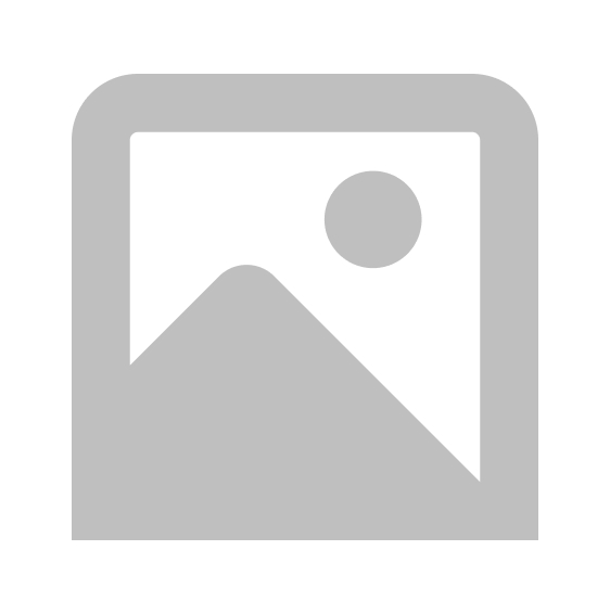 Saleigh Mountain Co. LLC