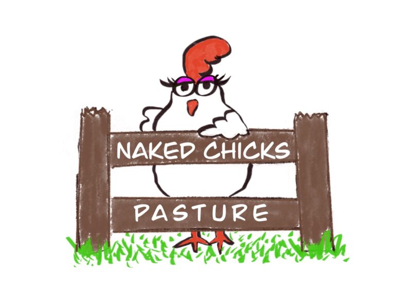 Naked Chicks Pasture 768x568